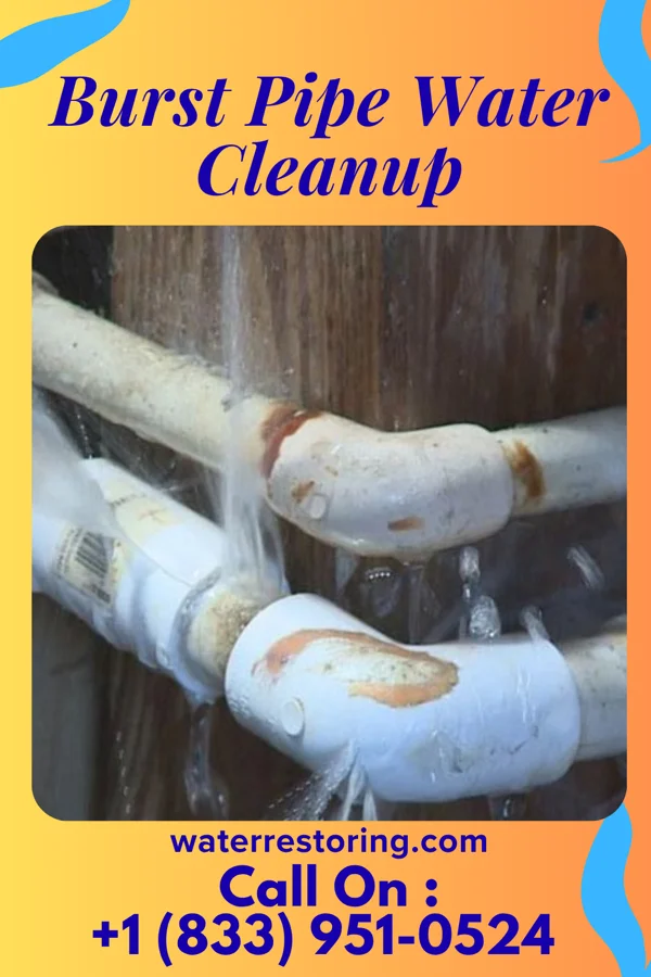 Burst Pipe Water Cleanup in Bristol, WI