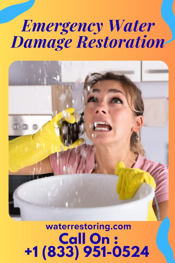 Emergency Water Damage Restoration in Bristol, WI