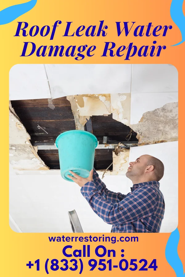 Roof Leak Water Damage Repair in Bristol, WI