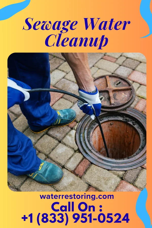 Sewage Water Cleanup in Bristol, WI